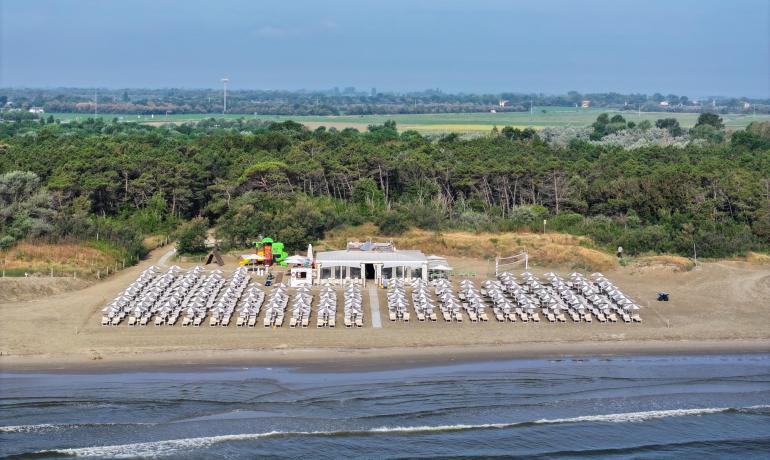 Spiaggia con ombrelloni bianchi, mare e pineta sullo sfondo.