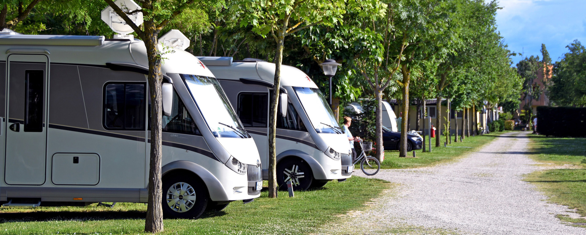 Camper parcheggiati sotto gli alberi in un campeggio verde.