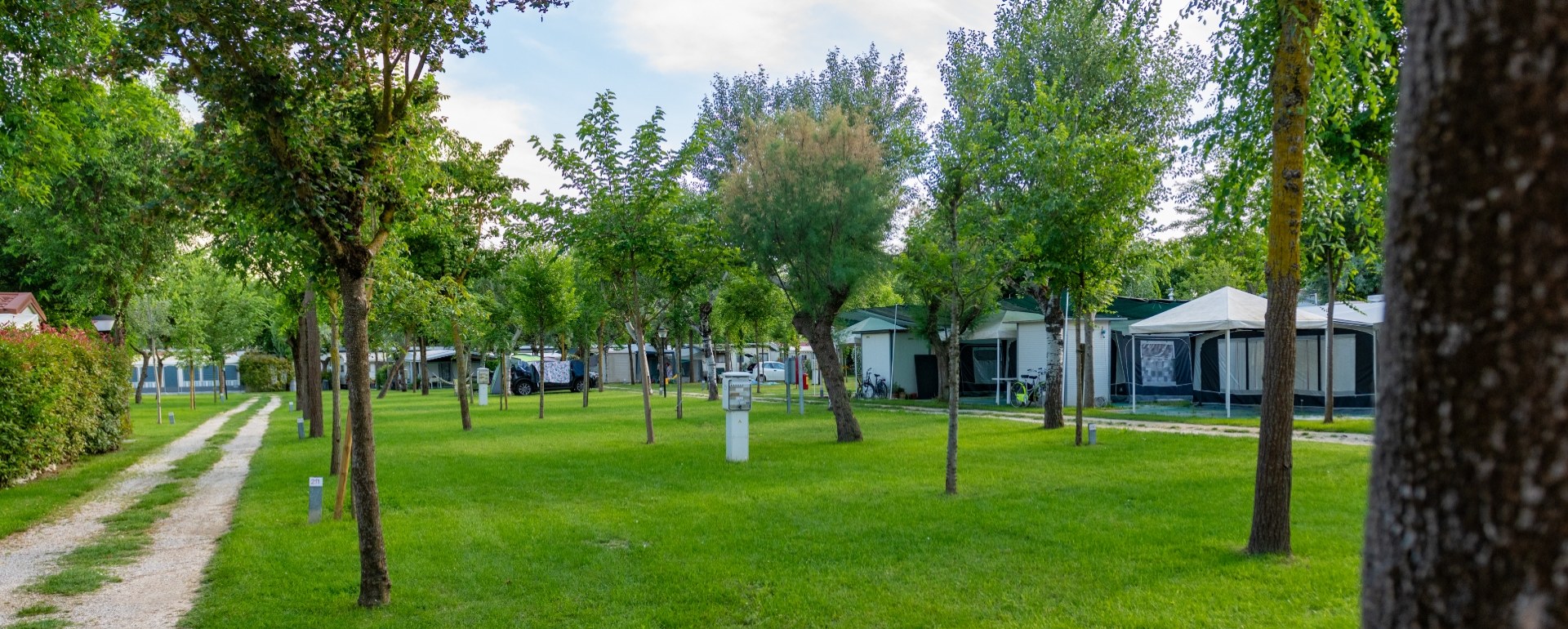 Campeggio verde con alberi, bungalow e strada sterrata immersa nella natura.