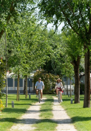 Due persone in bicicletta su un sentiero alberato in una giornata soleggiata.