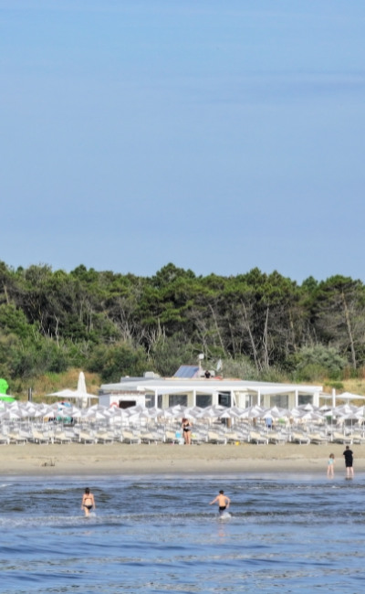 Spiaggia con ombrelloni, mare calmo e vegetazione sullo sfondo.