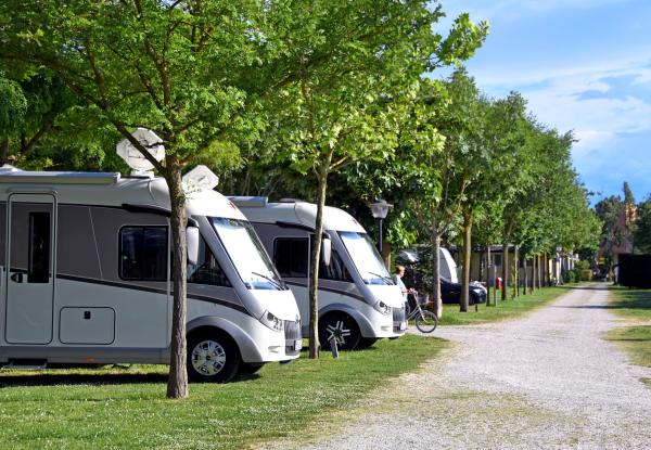 Camper parcheggiati all'ombra degli alberi in un campeggio soleggiato.