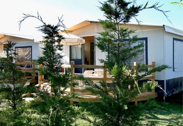 Casa mobile con veranda in legno, circondata da alberi verdi.