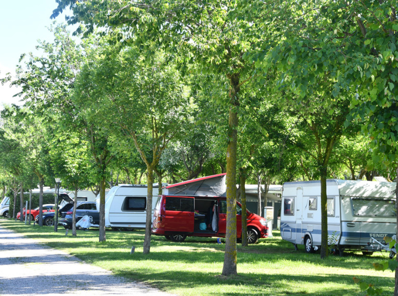 Camper parcheggiati sotto gli alberi in un campeggio verde e ombreggiato.