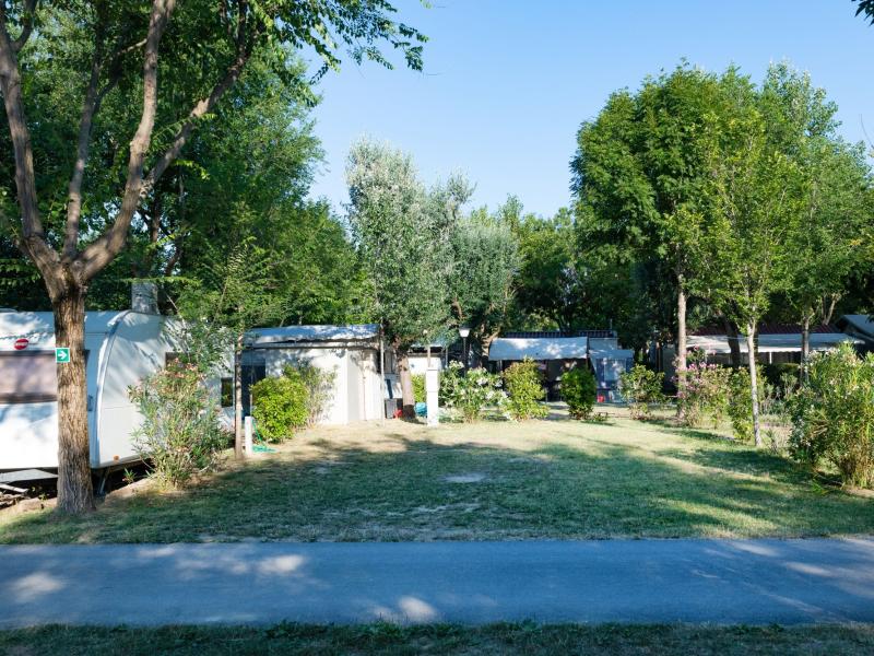 Campeggio con roulotte, alberi e vialetto in una giornata soleggiata.