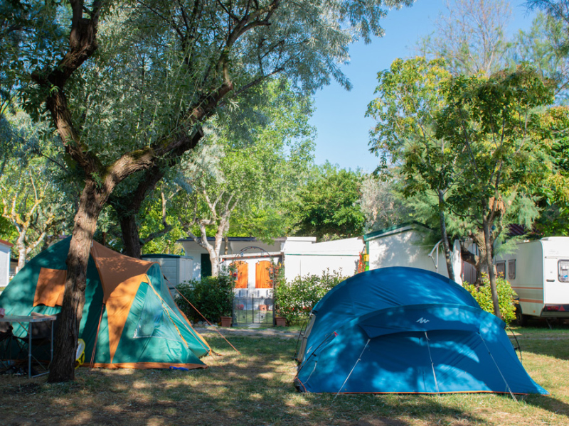 Campeggio con tende e roulotte sotto alberi verdi e cielo azzurro.