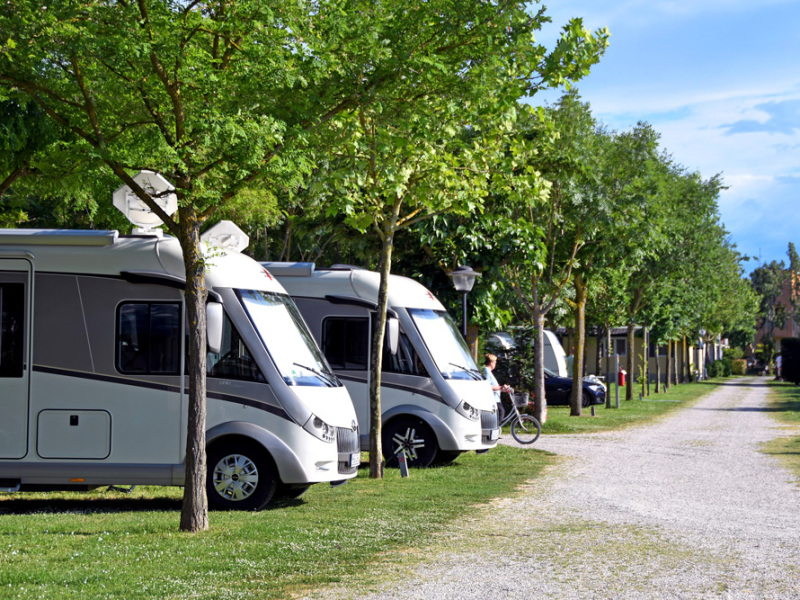 Camper parcheggiati sotto gli alberi in un'area di sosta.